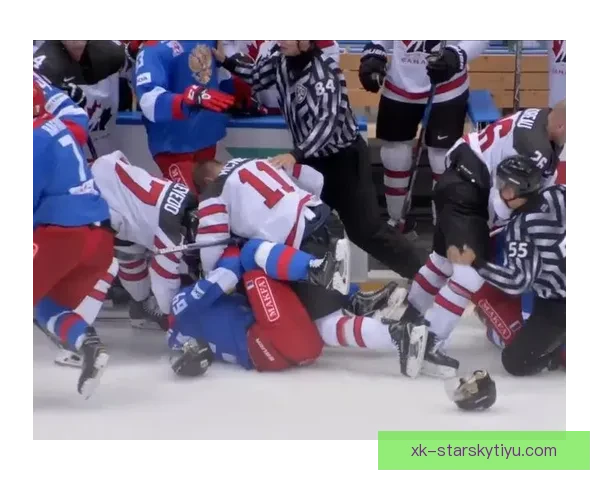 加拿大法国选手冰球赛首度爆发冲突